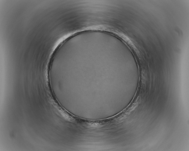 X0000111031230200907161318