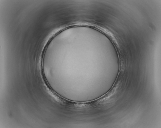 X0000111031231200907161318