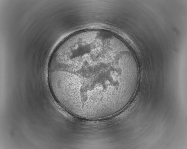 X0000111031232200907161318