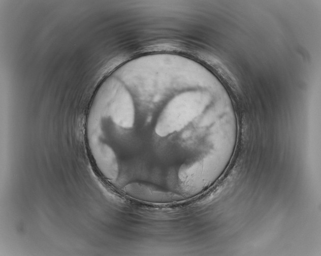 X0000111031233200907161318
