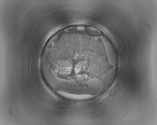 X0000111031234200907161318