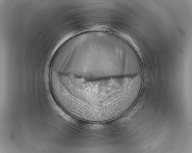 X0000111031235200907161318