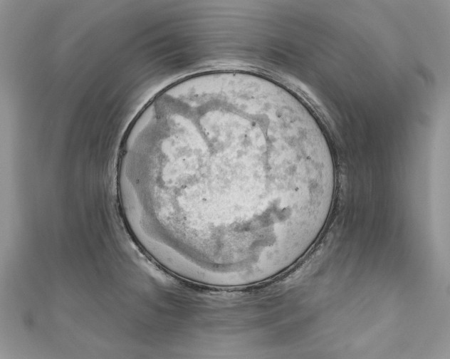 X0000111031236200907161318