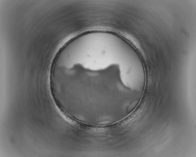 X0000111031237200907161318