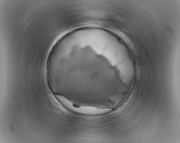 X0000111031240200907161318