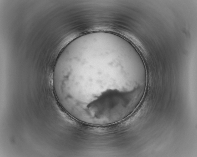 X0000111031241200907161318
