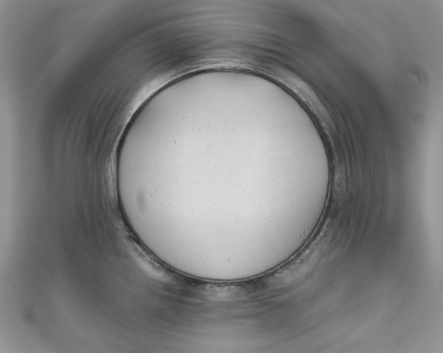 X0000111031242200907161318
