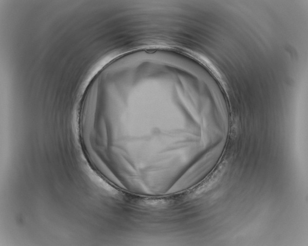X0000111031243200907161318