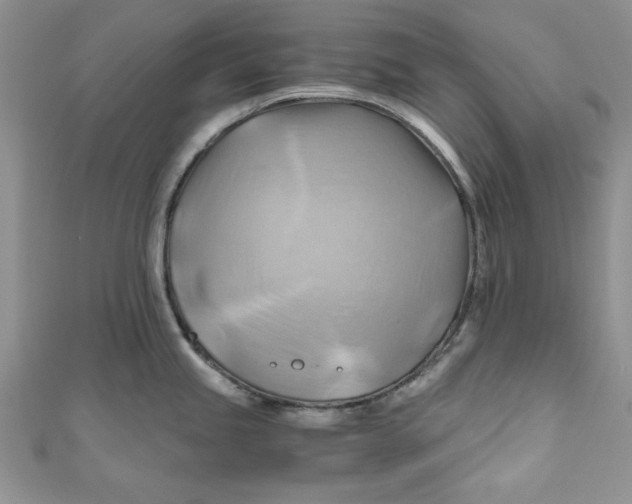 X0000111031245200907161318