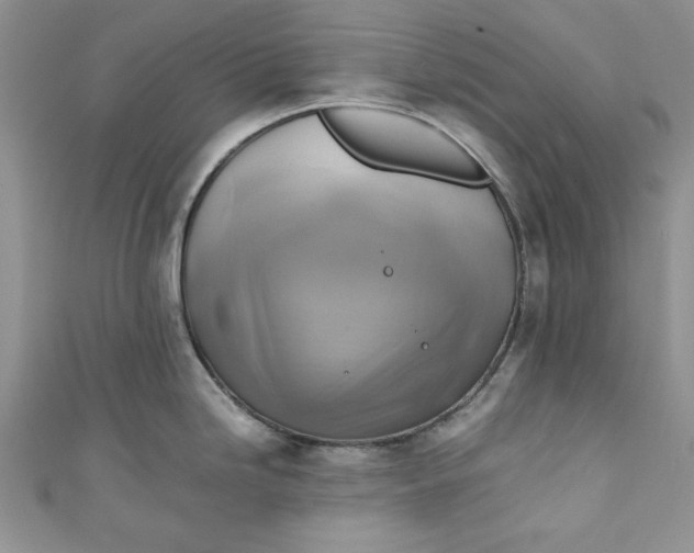 X0000111031246200907161318
