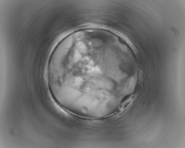 X0000111031247200907161318