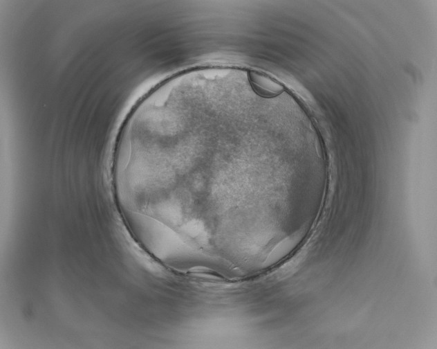 X0000111031248200907161318