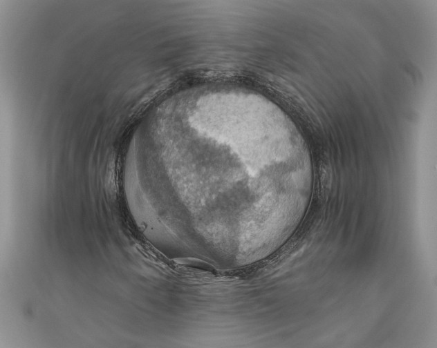 X0000111031250200907161318