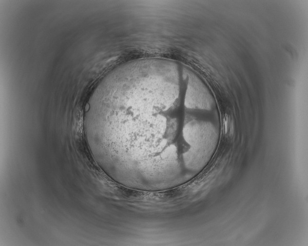 X0000111031251200907161318