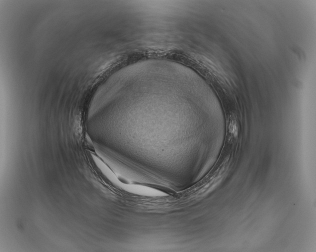 X0000111031252200907161318