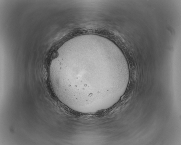 X0000111031253200907161318