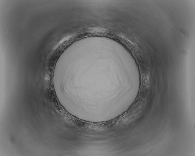 X0000111031254200907161318