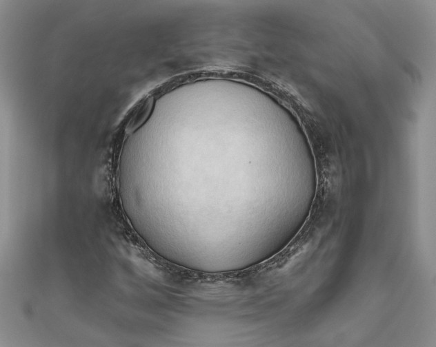 X0000111031256200907161318