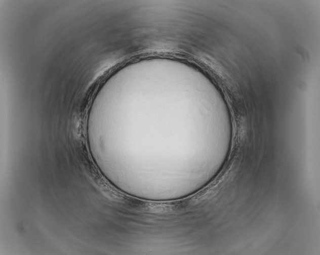 X0000111031258200907161318