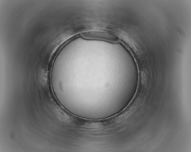X0000111031260200907161318