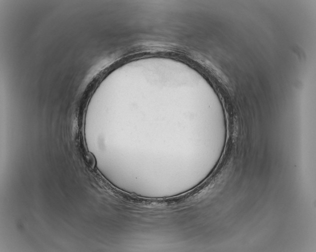X0000111031261200907161318