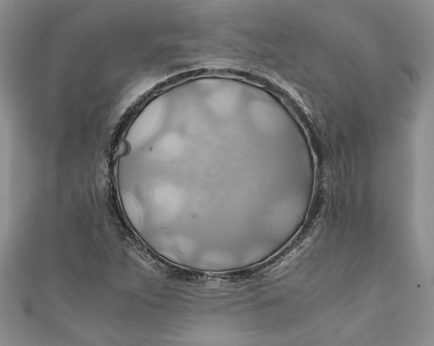 X0000111031263200907161318
