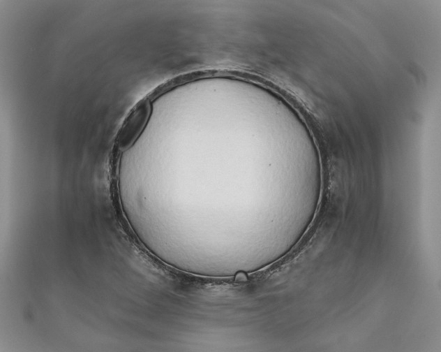 X0000111031264200907161318