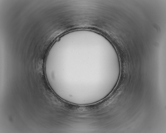 X0000111031265200907161318