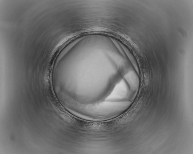X0000111031266200907161318