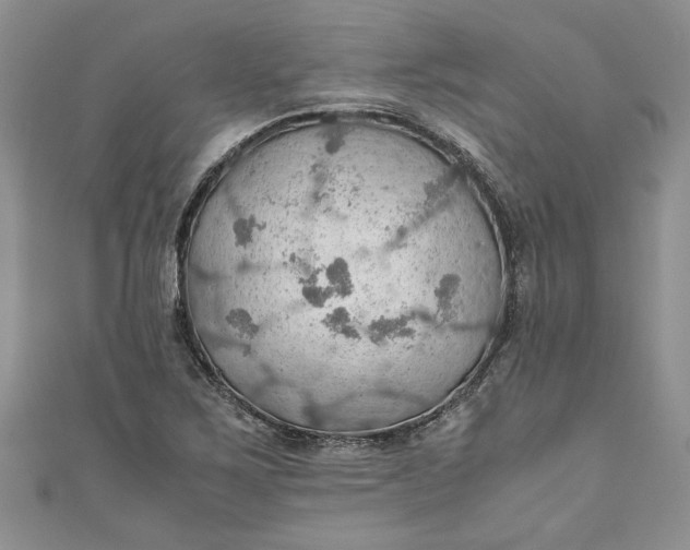 X0000111031267200907161318