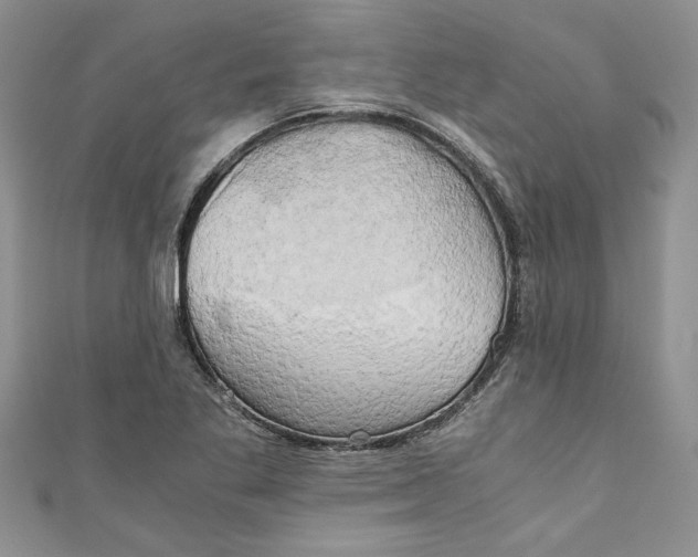 X0000111031269200907161318