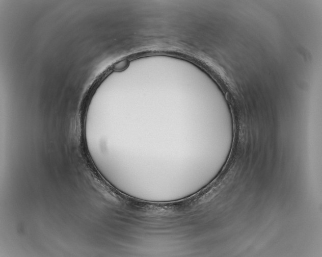 X0000111031270200907161317