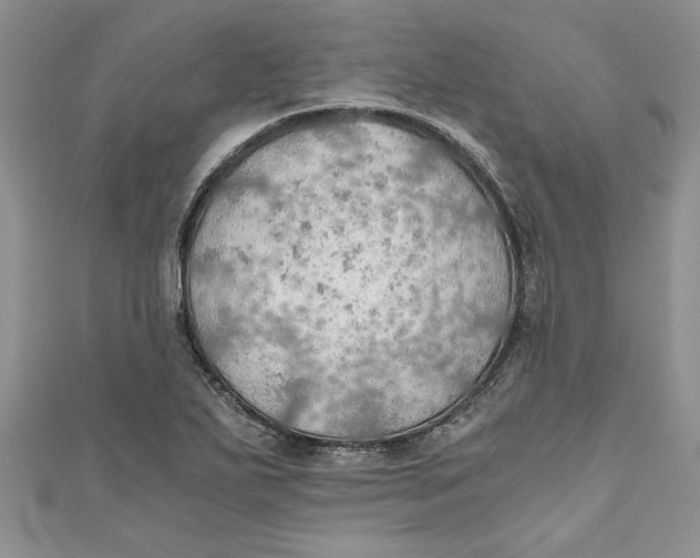 X0000111031271200907161317