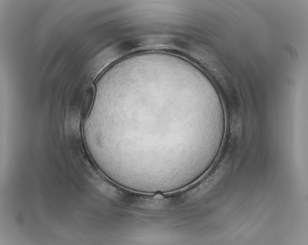 X0000111031273200907161317