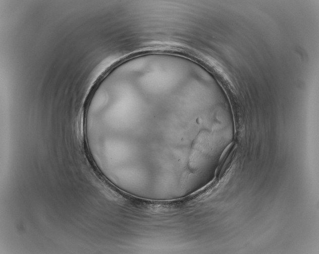 X0000111031275200907161317