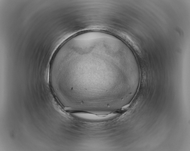 X0000111031276200907161317