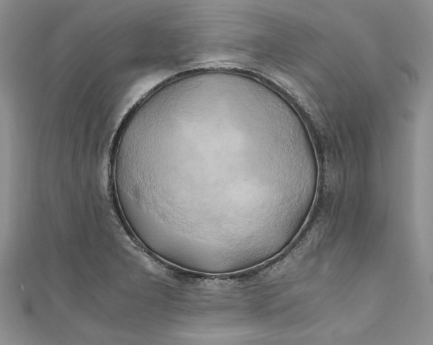 X0000111031277200907161317