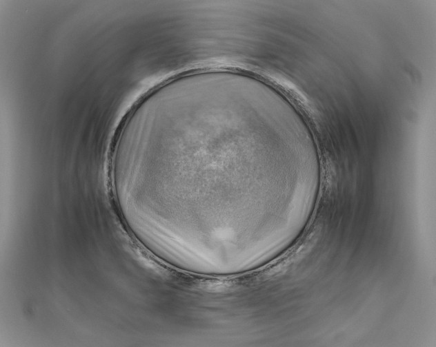 X0000111031278200907161317