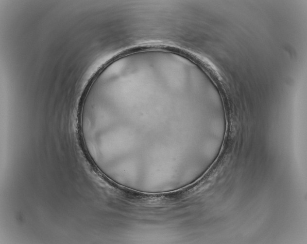 X0000111031279200907161317