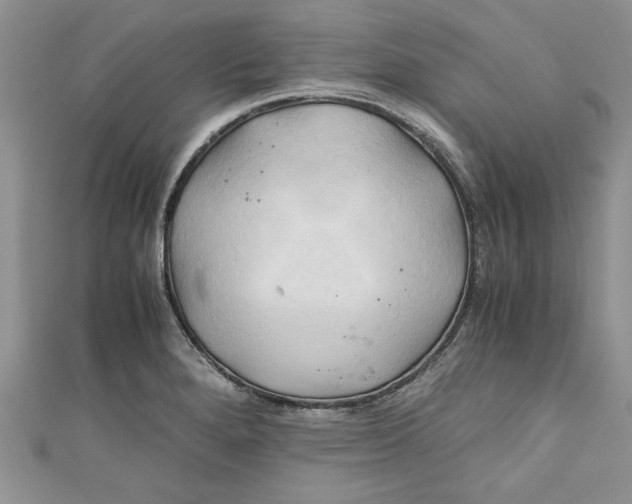 X0000111031280200907161317