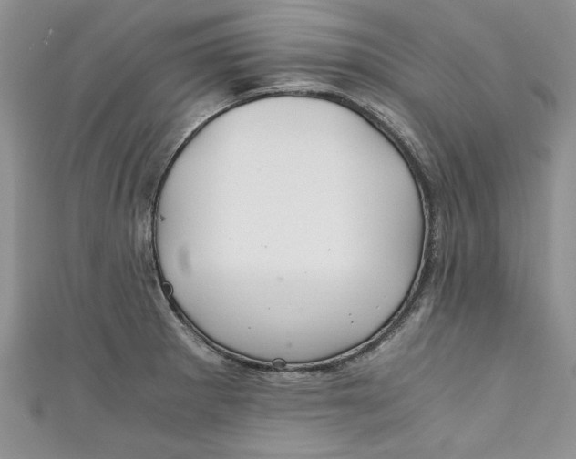 X0000111031281200907161317