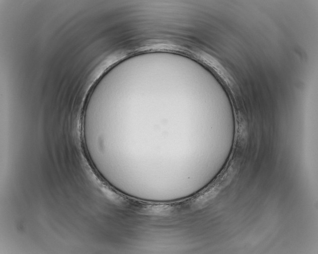 X0000111031282200907161317