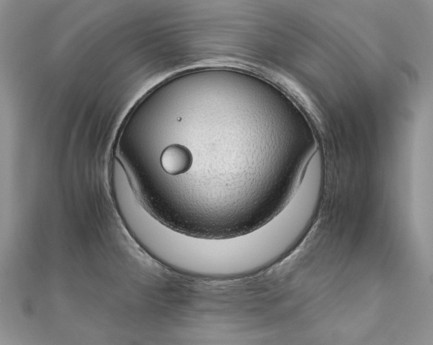 X0000111031284200907161317