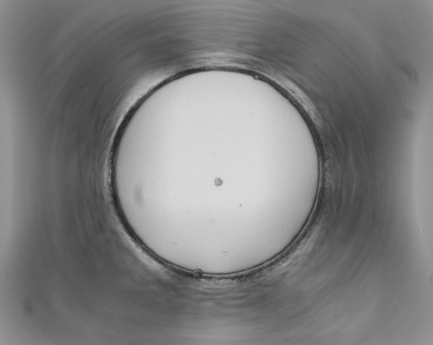 X0000111031285200907161317