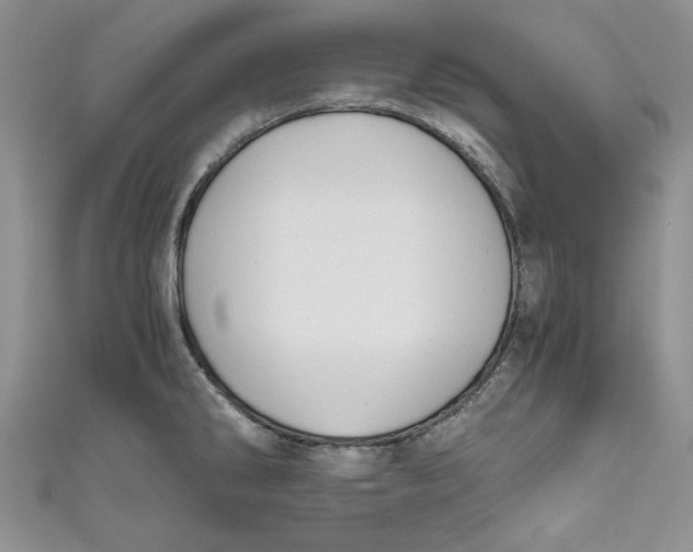 X0000111031286200907161317