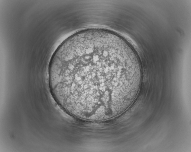 X0000111031287200907161317