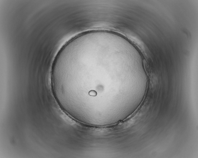 X0000111031288200907161317