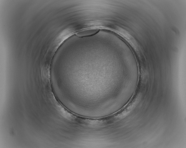 X0000111031289200907161317