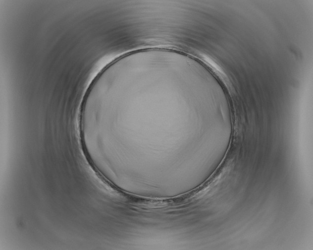 X0000111031291200907161317