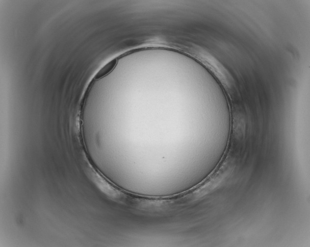X0000111031292200907161317